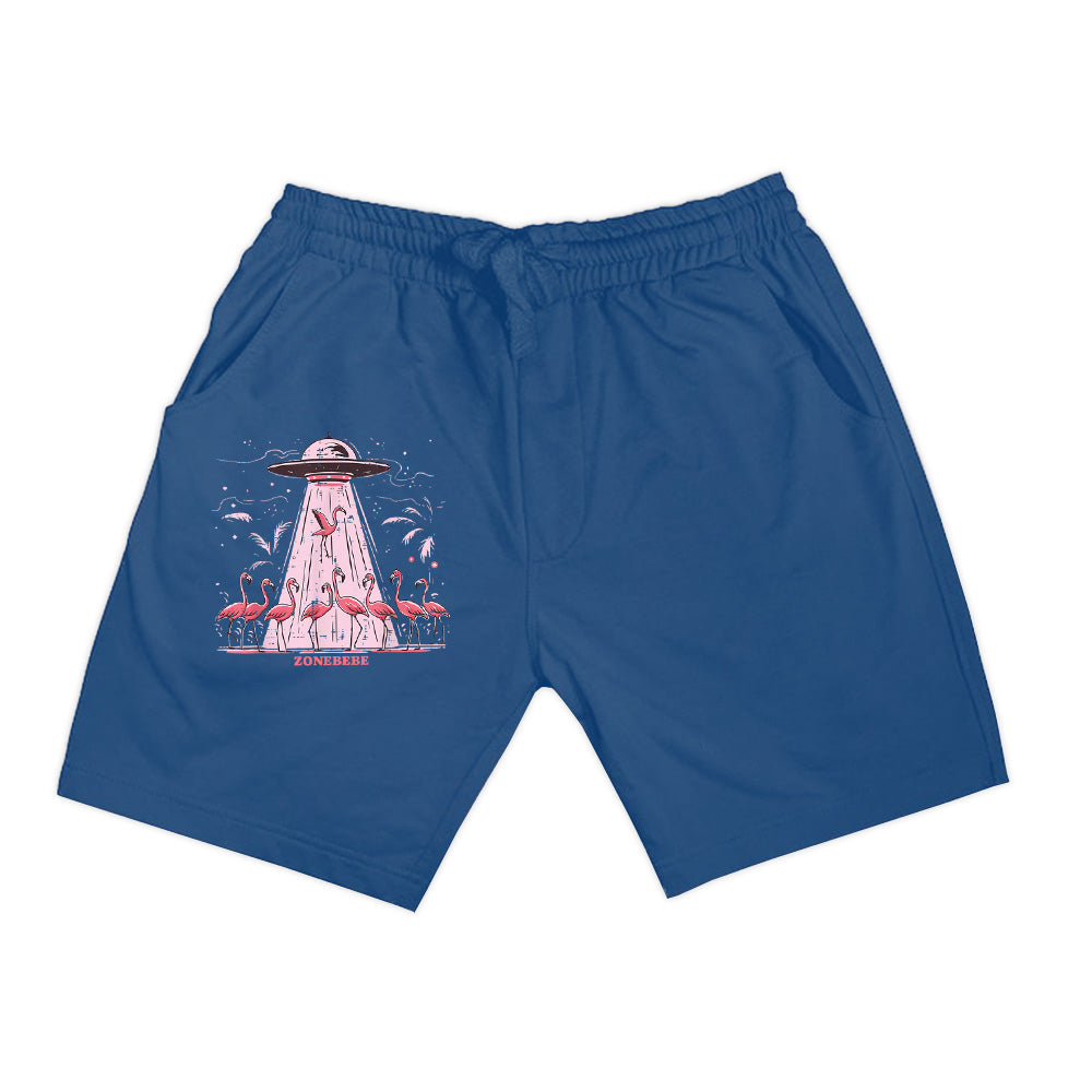 Alien UFO Abducting Flamingos Funny Shorts