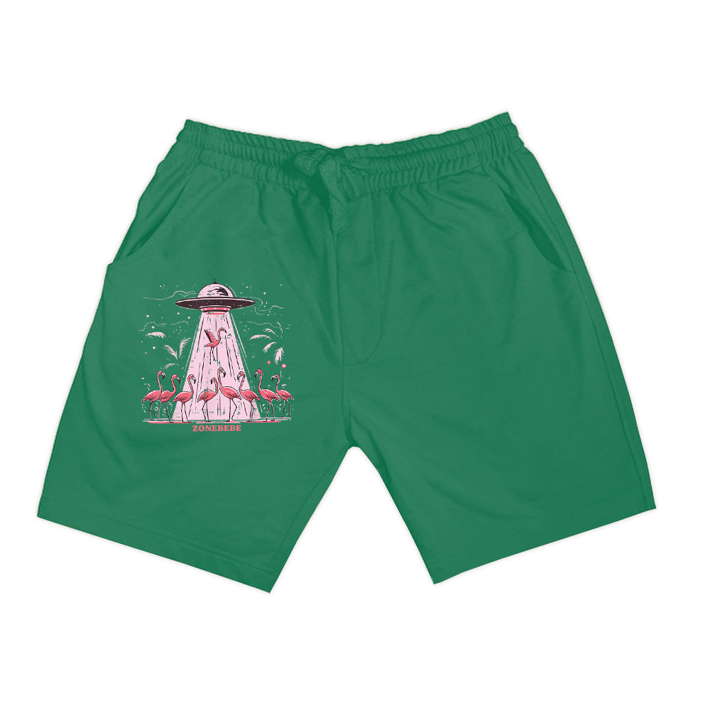 Alien UFO Abducting Flamingos Funny Shorts
