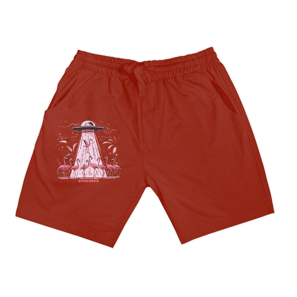 Alien UFO Abducting Flamingos Funny Shorts