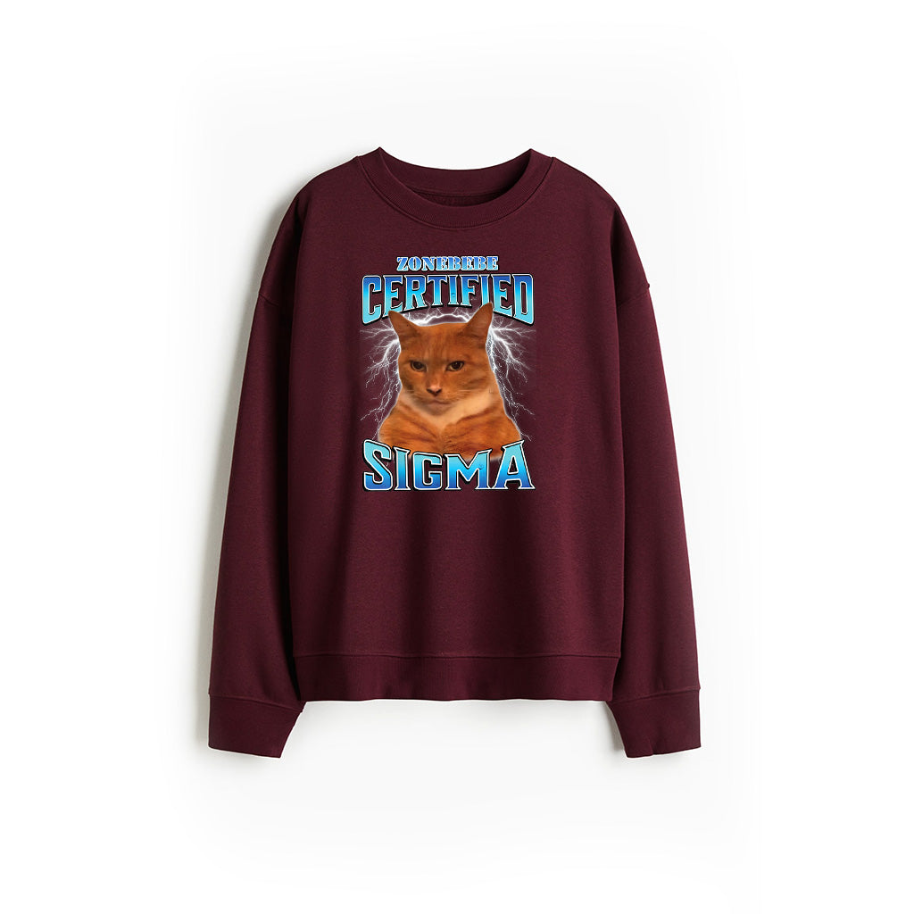 Certified Sigma Funny Staring Cat Meme Sarcastic Silly Cat Sweatshirt