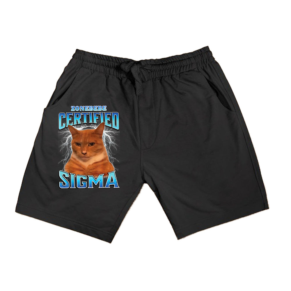Certified Sigma Funny Staring Cat Meme Sarcastic Silly Cat Shorts