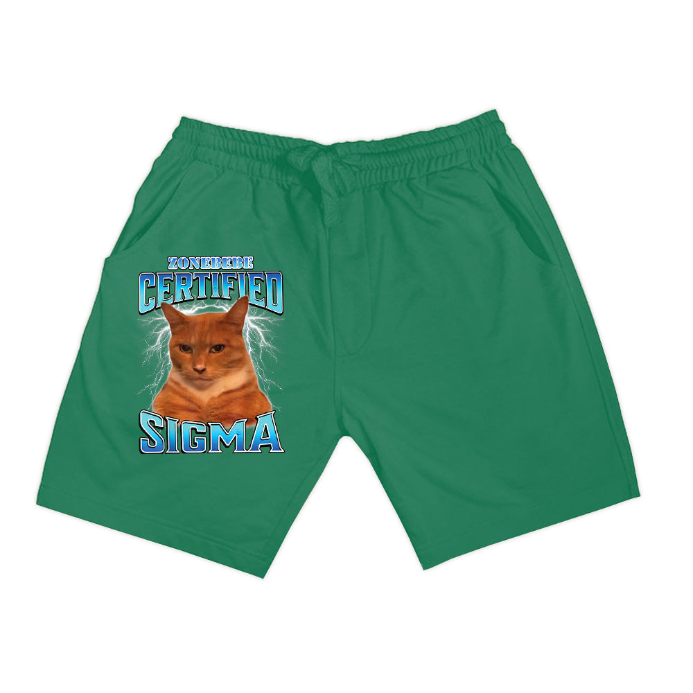 Certified Sigma Funny Staring Cat Meme Sarcastic Silly Cat Shorts