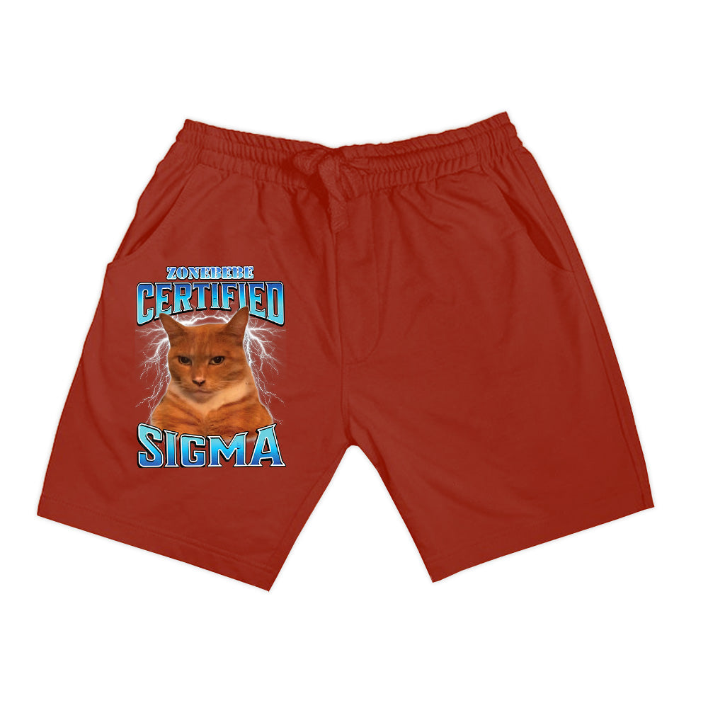 Certified Sigma Funny Staring Cat Meme Sarcastic Silly Cat Shorts