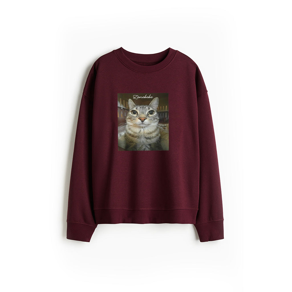Funny Silly Staring Cat Funny Meme Sweatshirt