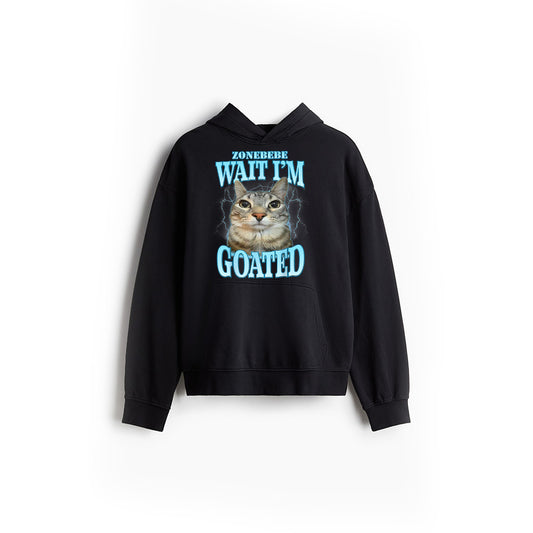 Funny Wait I'm Goated Silly Cat Meme Humor Silly Cat Saying Hoodie